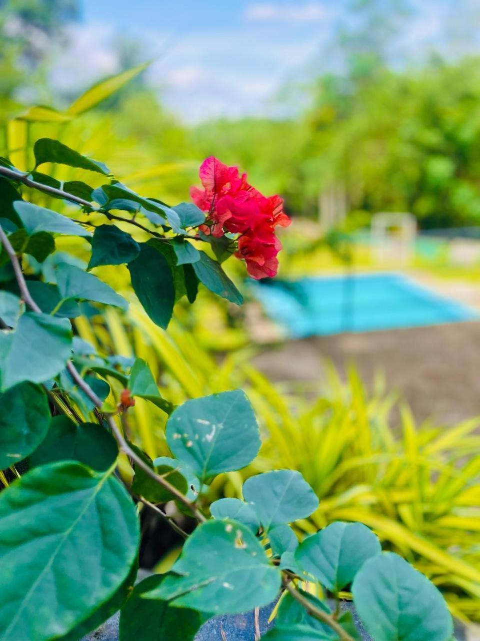 Hanthana Sk Paradise Gampola Exterior photo